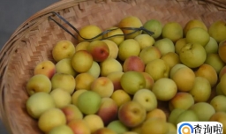 4月份是不是梅雨季节