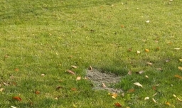 QQ浏览器怎么关闭通知栏推送的消息