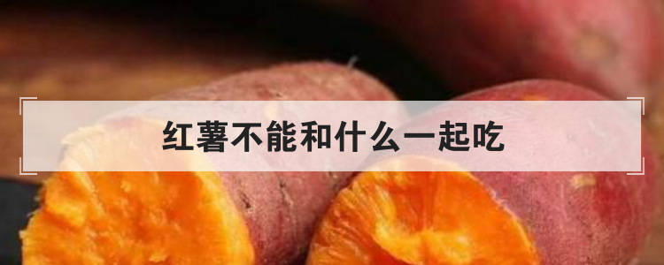 红薯不能和什么一起吃