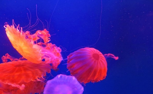 南京好玩的地方景点排行榜