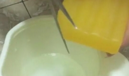 菊花生虫子怎么做