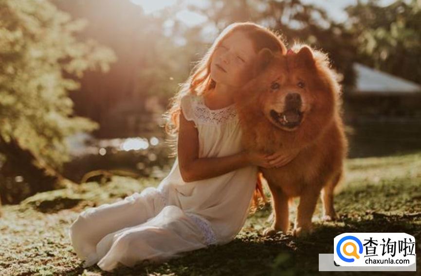 挑选公狗好还是母狗好