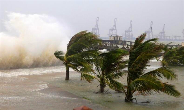 台风为什么叫台风