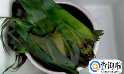 芦苇叶包粽子教程