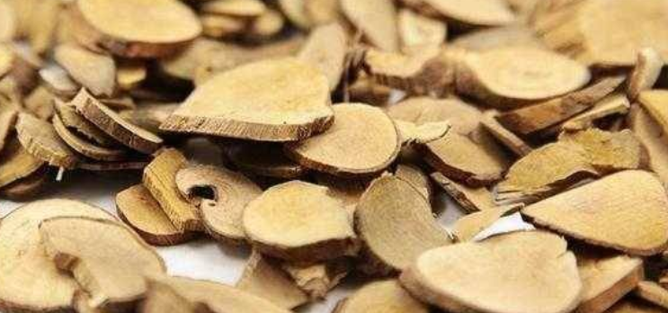 乌药的功效与作用