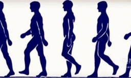 我们该怎么的走路姿势才正确？