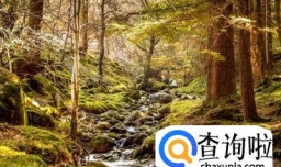 如何才能快速历练自己？