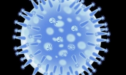 流感的症状和体征有哪些