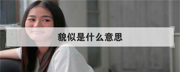 貌似是什么意思