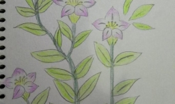 简笔画-百合花的画法