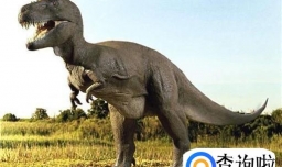 如何给孩子介绍常见恐龙