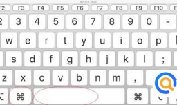 Mac版Snipaste怎样给图片添加马赛克