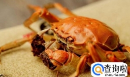 吃螃蟹有什么需要注意的地方？