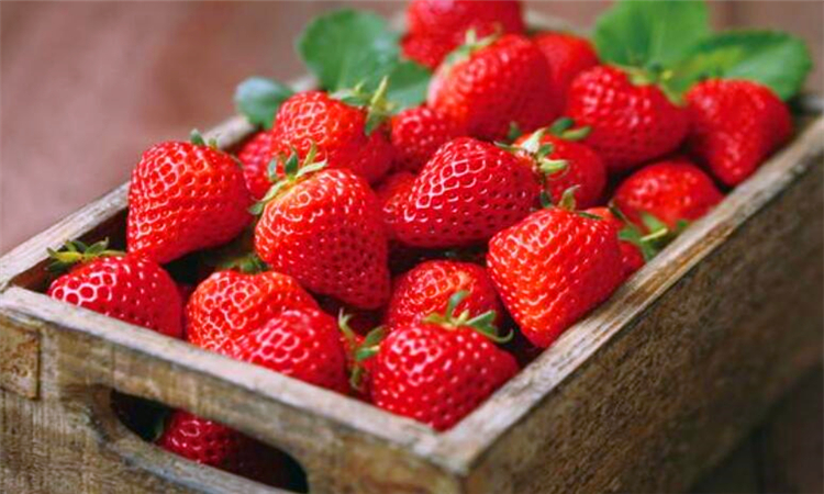 草莓营养价值