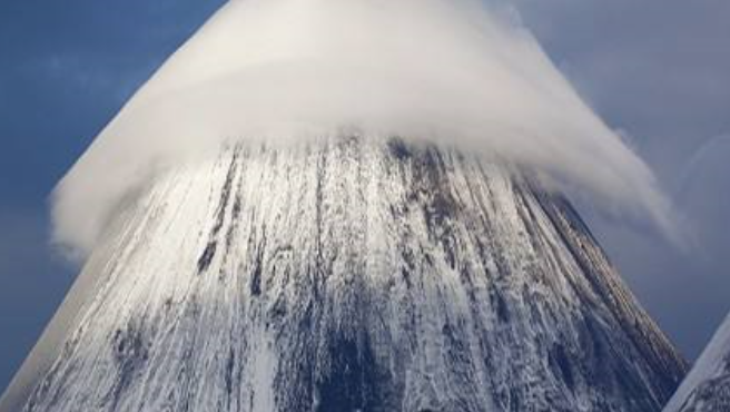 趋之若鹜什么意思