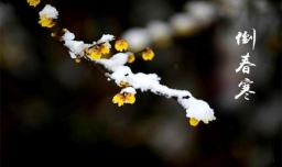 为什么四月份了还这么冷