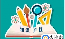 如何查询专利是否授权