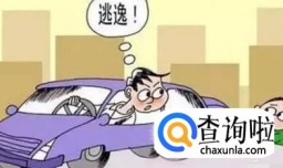 轻微肇事逃逸怎么处罚