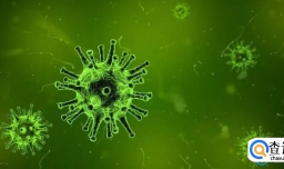 中方如何回应海外科学家称华南海鲜市场中的貉或是新冠病毒中间宿主问题？