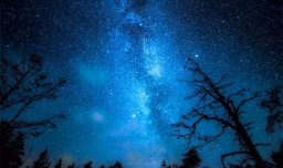 哪些星星比太阳大