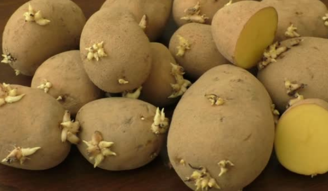 发芽的土豆能吃吗