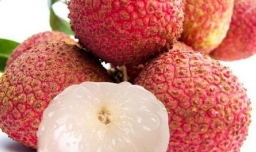 荔枝榨汁怎么做？家常荔枝汁的做法是什么？