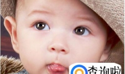 黎姓宝宝起名字大全