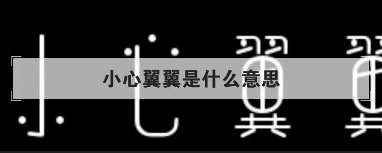 小心翼翼是什么意思