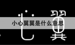 小心翼翼是什么意思