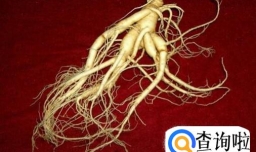 产妇不能吃的补品有哪些？