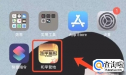 《和平精英》好友上线提醒如何设置？