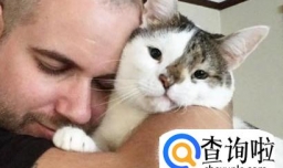 怎样使小猫亲近你