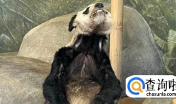 国内派遣两名专家在15日下午已经前往美国照料丫丫