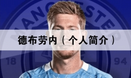 德布劳内（个人简介）