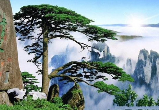 黄山被誉为什么