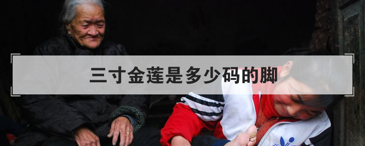 三寸金莲是多少码的脚