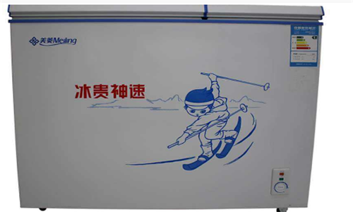 冰柜排行榜前十名家用