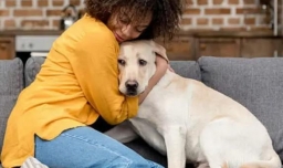 狗狗喜欢主人的样子