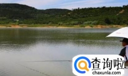 钓鱼怎么选择好钓位（水库篇）