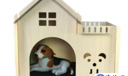 怎样提高宠物狗的免疫力？