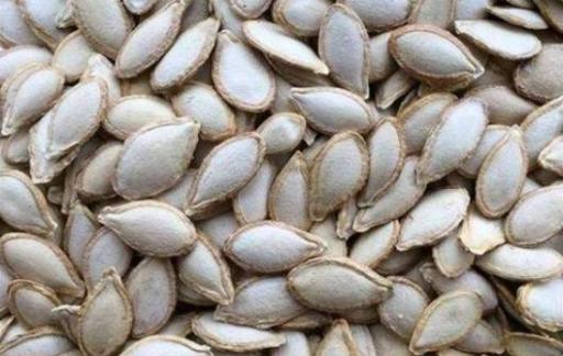 南瓜子怎么发成芽