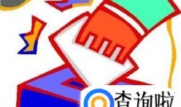 有哪些投票平台？