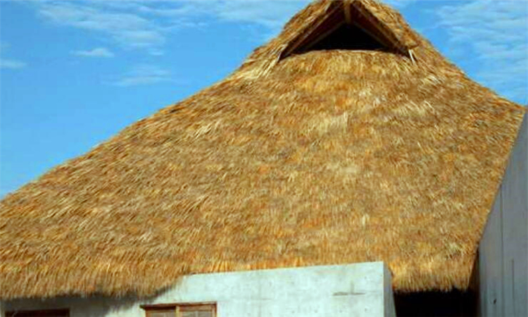 别具一格是什么意思