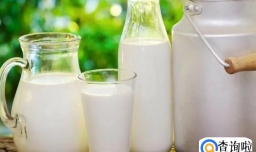 醪糟汤圆可以放牛奶吗