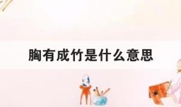 胸有成竹是什么意思