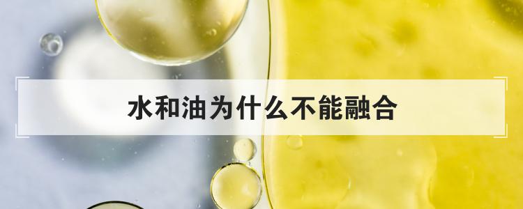 水和油为什么不能融合