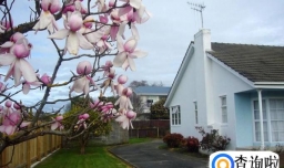 梅西大学预科学费是多少