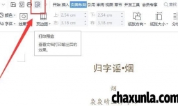 如何打印WPS文档中隐藏的文字内容