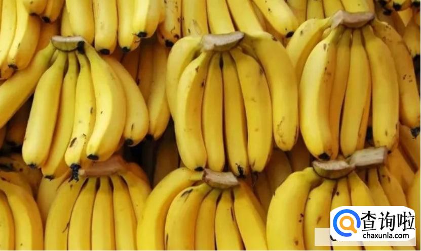 低糖水果都有哪些