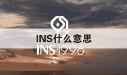 INS什么意思
